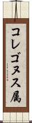 コレゴヌス属 Scroll