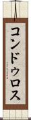 コンドゥロス Scroll