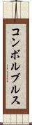 コンボルブルス Scroll