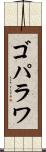 ゴパラワ Scroll