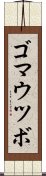 ゴマウツボ Scroll