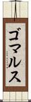 ゴマルス Scroll