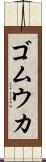 ゴムウカ Scroll