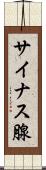 サイナス腺 Scroll