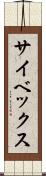 サイベックス Scroll