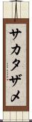 サカタザメ Scroll
