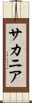 サカニア Scroll
