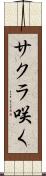 サクラ咲く Scroll