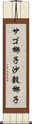 サゴ椰子 Scroll