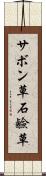 サボン草 Scroll