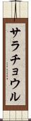 サラチョウル Scroll