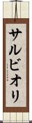 サルビオリ Scroll