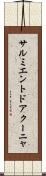サルミエントドアクーニャ Scroll