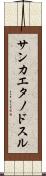 サンカエタノドスル Scroll