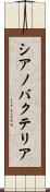 シアノバクテリア Scroll