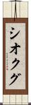 シオクグ Scroll