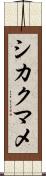 シカクマメ Scroll