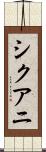 シクアニ Scroll