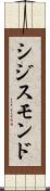 シジスモンド Scroll