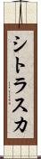 シトラスカ Scroll