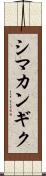 シマカンギク Scroll