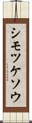 シモツケソウ Scroll
