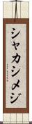 シャカシメジ Scroll