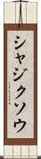 シャジクソウ Scroll