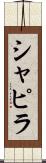 シャピラ Scroll