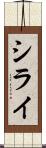 シライ Scroll