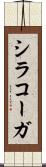 シラコーガ Scroll