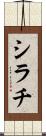 シラチ Scroll