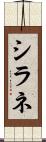 シラネ Scroll