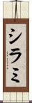シラミ Scroll