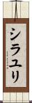 シラユリ Scroll