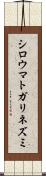 シロウマトガリネズミ Scroll