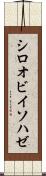シロオビイソハゼ Scroll