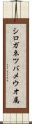 シロガネツバメウオ属 Scroll