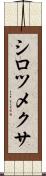 シロツメクサ Scroll