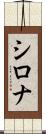 Shirona Scroll