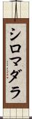 シロマダラ Scroll