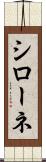 シローネ Scroll