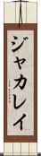 ジャカレイ Scroll