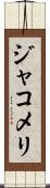 ジャコメリ Scroll