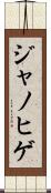 ジャノヒゲ Scroll