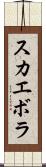 スカエボラ Scroll