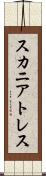 スカニアトレス Scroll