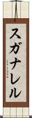 スガナレル Scroll