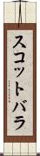 スコットバラ Scroll