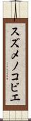 スズメノコビエ Scroll